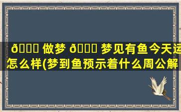 🐈 做梦 🕊 梦见有鱼今天运势怎么样(梦到鱼预示着什么周公解梦)